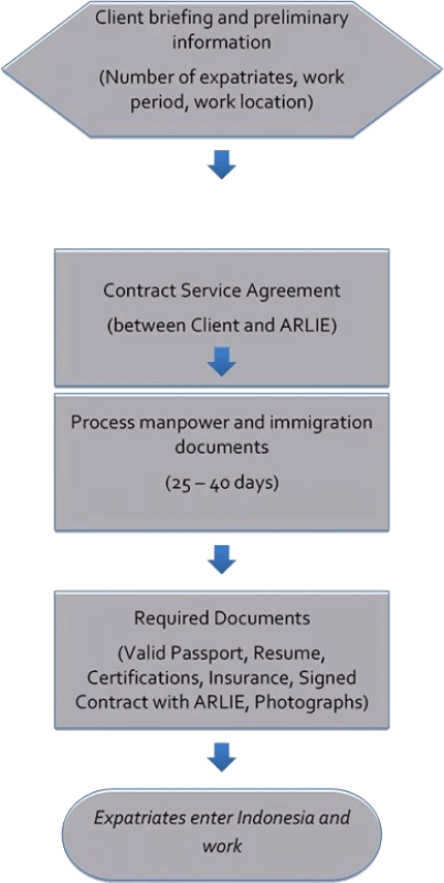 Other Service Expatriate Contracting Process 28 cf8bf 2339 170 t2339 142